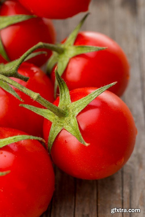 Stock Photos - Tomatoes, 25xJPG