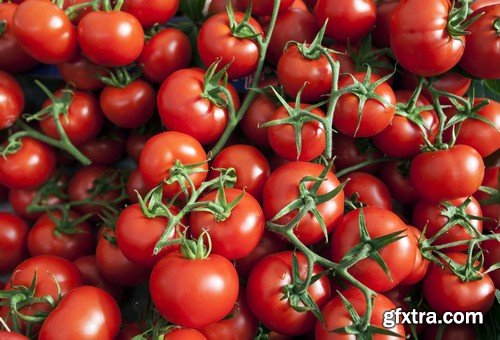 Stock Photos - Tomatoes, 25xJPG