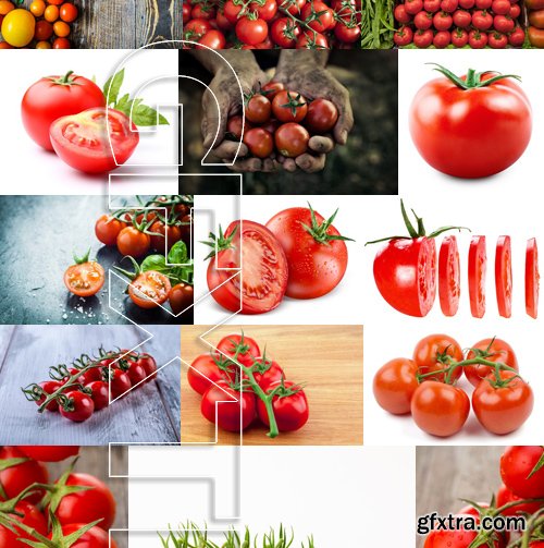 Stock Photos - Tomatoes, 25xJPG