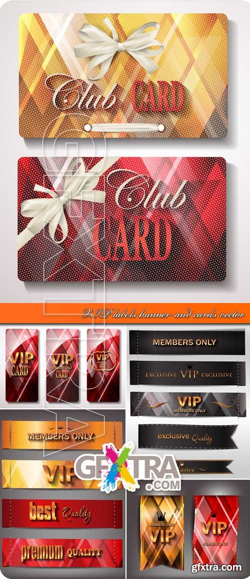 VIP labels banner and cards vector