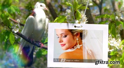 Videohive Wedding Photo Gallery - Doves Slideshow 8012602