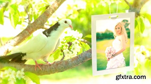 Videohive Wedding Photo Gallery - Doves Slideshow 8012602