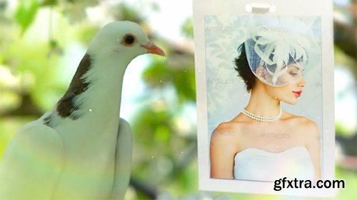 Videohive Wedding Photo Gallery - Doves Slideshow 8012602