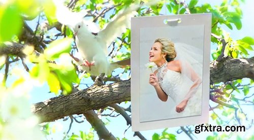 Videohive Wedding Photo Gallery - Doves Slideshow 8012602