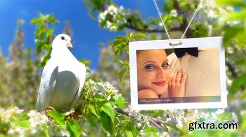 Videohive Wedding Photo Gallery - Doves Slideshow 8012602