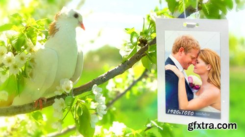 Videohive Wedding Photo Gallery - Doves Slideshow 8012602