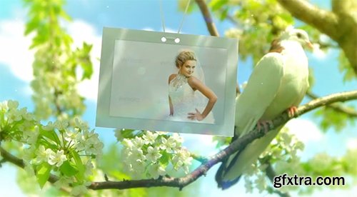 Videohive Wedding Photo Gallery - Doves Slideshow 8012602