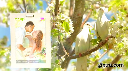 Videohive Wedding Photo Gallery - Doves Slideshow 8012602