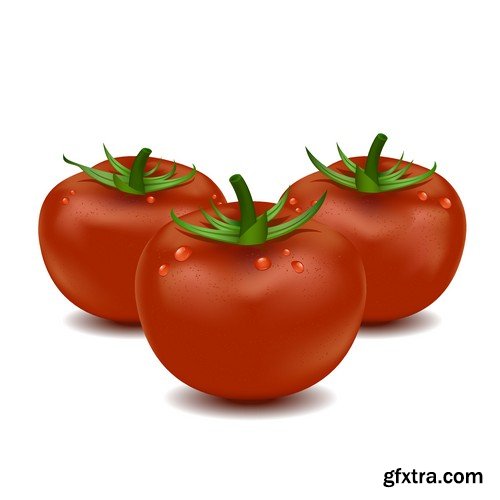 Stock Vectors - Tomatoes 2, 25xEPS