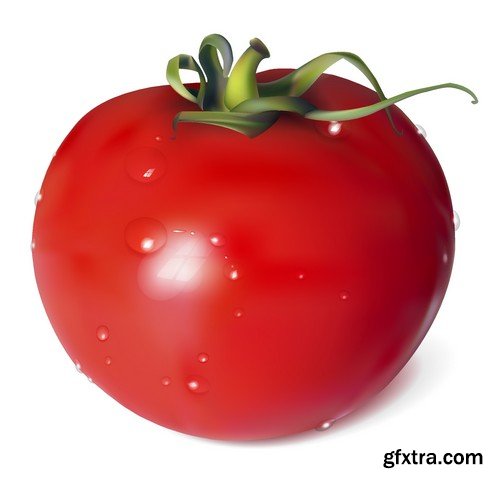 Stock Vectors - Tomatoes 2, 25xEPS