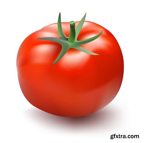 Stock Vectors - Tomatoes 2, 25xEPS