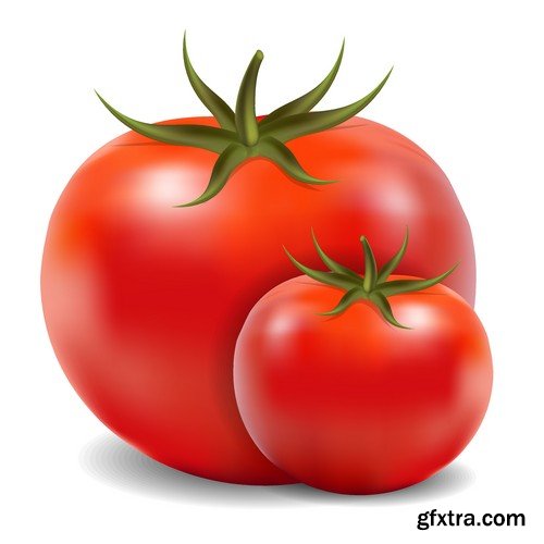 Stock Vectors - Tomatoes 2, 25xEPS