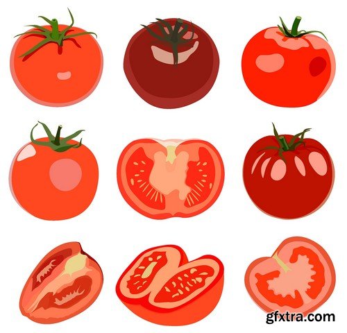 Stock Vectors - Tomatoes 2, 25xEPS