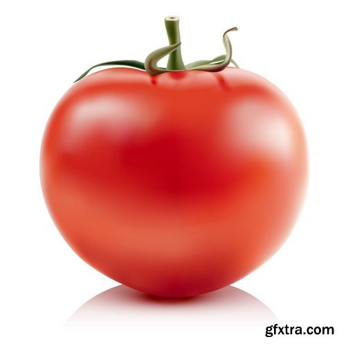 Stock Vectors - Tomatoes 2, 25xEPS