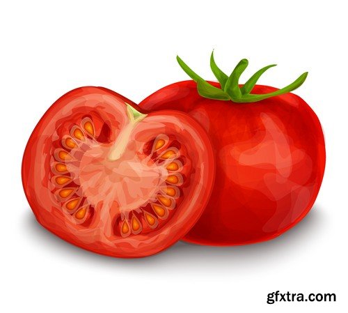 Stock Vectors - Tomatoes 2, 25xEPS