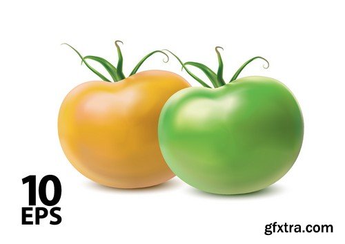 Stock Vectors - Tomatoes 2, 25xEPS