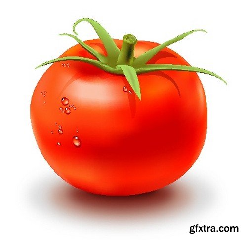 Stock Vectors - Tomatoes 2, 25xEPS