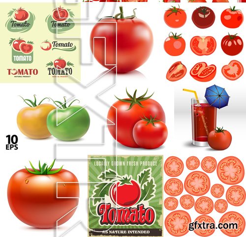 Stock Vectors - Tomatoes 2, 25xEPS