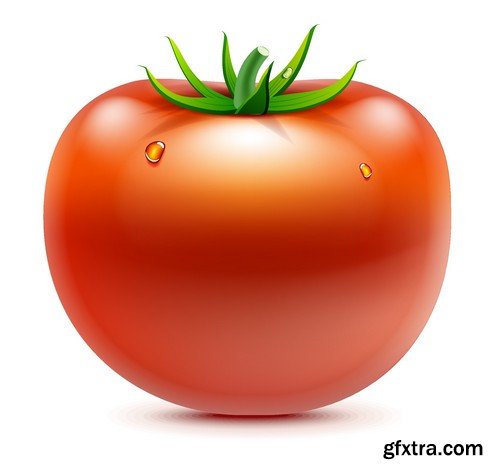 Stock Vectors - Tomatoes 2, 25xEPS