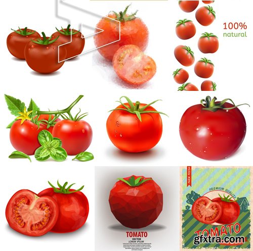 Stock Vectors - Tomatoes 2, 25xEPS