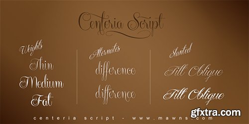 Centeria Script Font Family - 12 Fonts $708