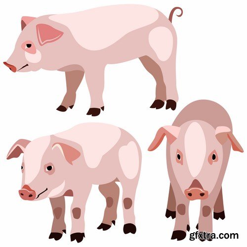 Pig vector,25x EPS