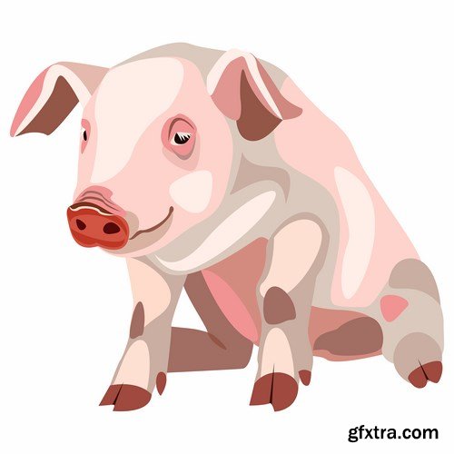 Pig vector,25x EPS