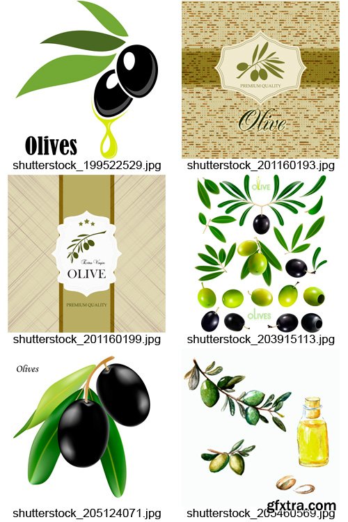 Amazing SS - Olive Oil Design, 25xEPS