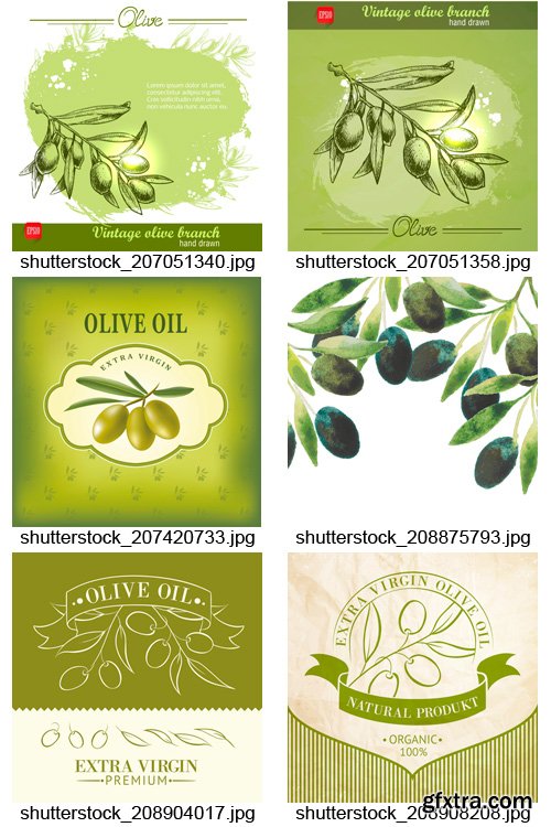 Amazing SS - Olive Oil Design, 25xEPS