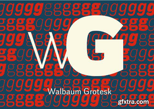 Walbaum Grotesk Font Family - 12 Fonts $648