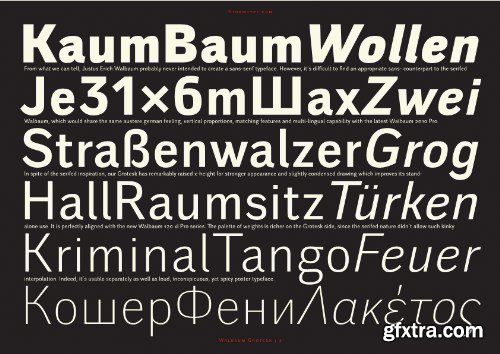 Walbaum Grotesk Font Family - 12 Fonts $648