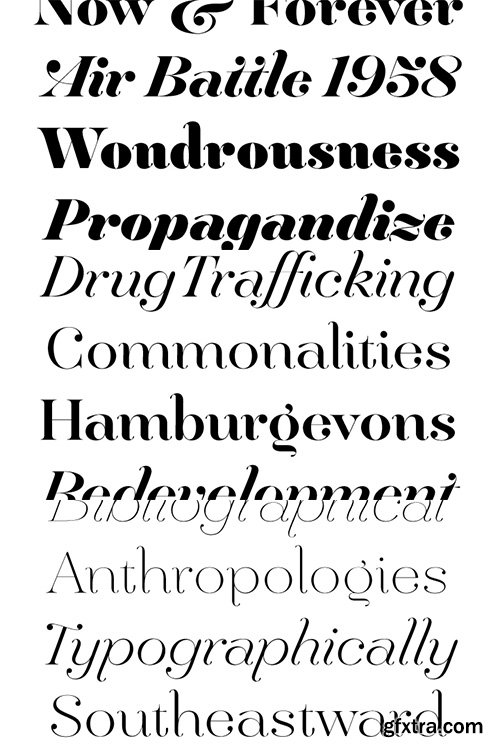 Hera Big Font Family - 16 Fonts $640