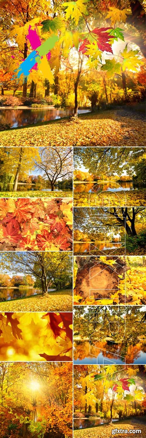 Wonderful autumn landscape with colorful falling leaves