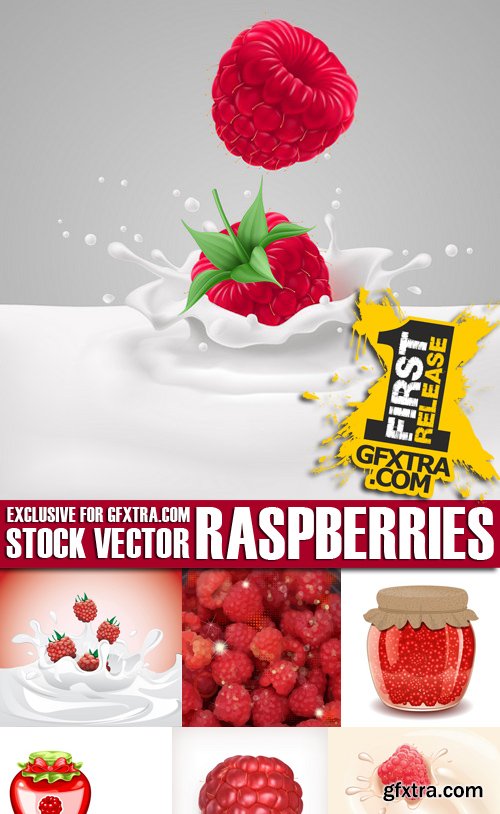 Stock Vectors - Raspberries, 25xEPS