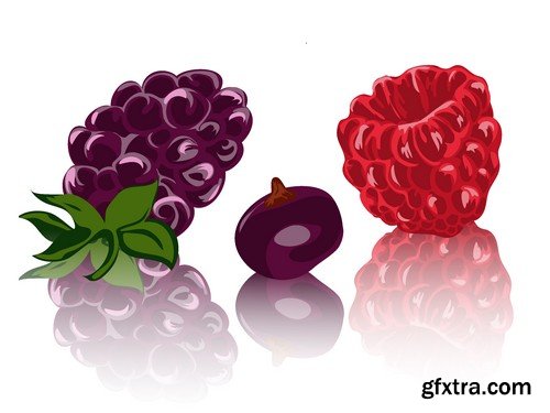 Stock Vectors - Raspberries, 25xEPS