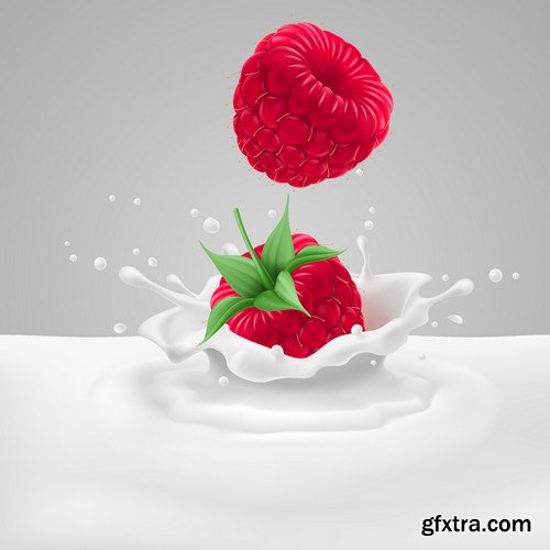 Stock Vectors - Raspberries, 25xEPS