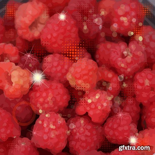 Stock Vectors - Raspberries, 25xEPS