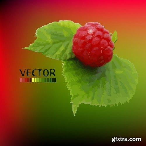 Stock Vectors - Raspberries, 25xEPS