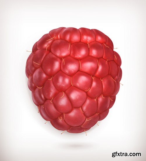 Stock Vectors - Raspberries, 25xEPS