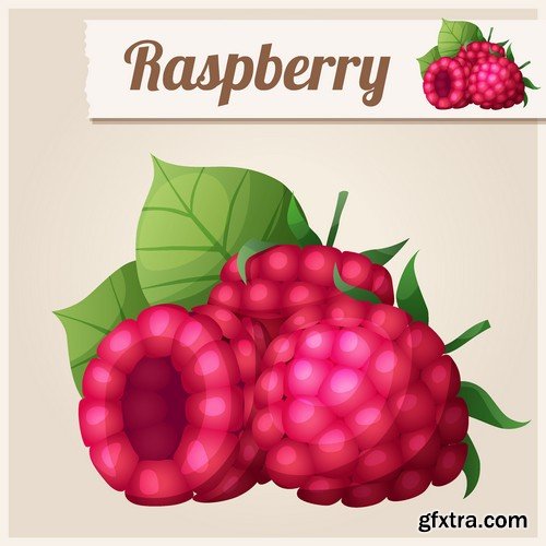 Stock Vectors - Raspberries, 25xEPS