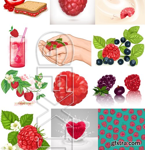 Stock Vectors - Raspberries, 25xEPS