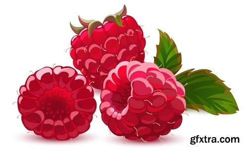 Stock Vectors - Raspberries, 25xEPS