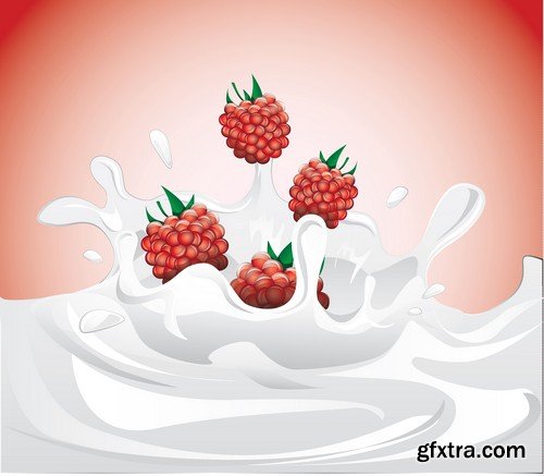 Stock Vectors - Raspberries, 25xEPS