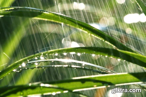 Stock Photos - Rain, 44xJPG!