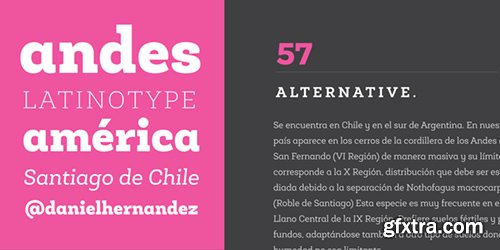 Roble Alt Font Family - 1 Fonts $468