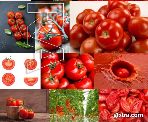 Stock Photos - Tomatoes 3, 25xJPG