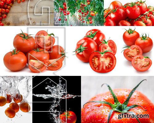 Stock Photos - Tomatoes 3, 25xJPG