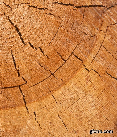 Stock Photos - Wood Textures 2, 25xJPG