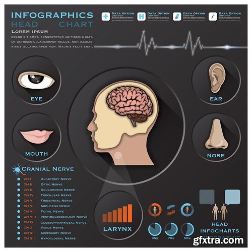 Medical Infographics, 25xEPS