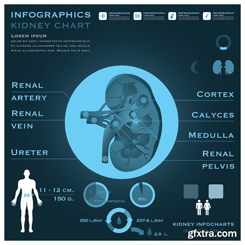 Medical Infographics, 25xEPS